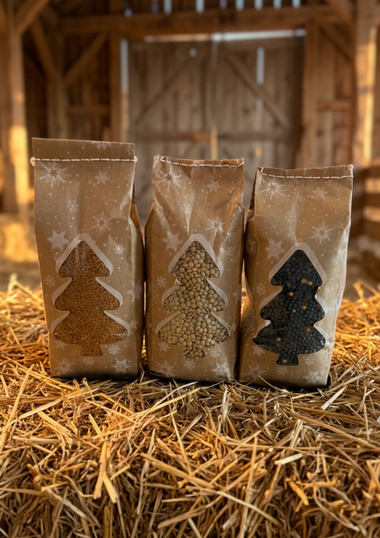 Coffret Découverte — Édition Sapin