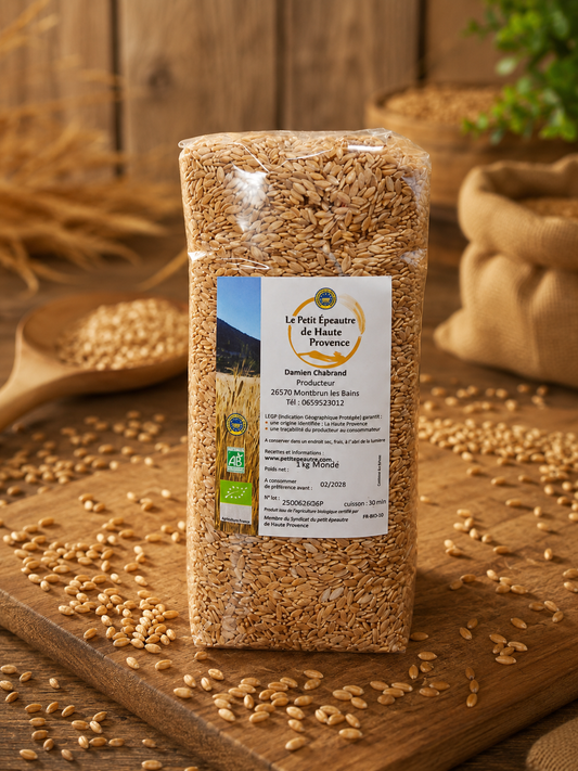 Grains de Petit Épeautre