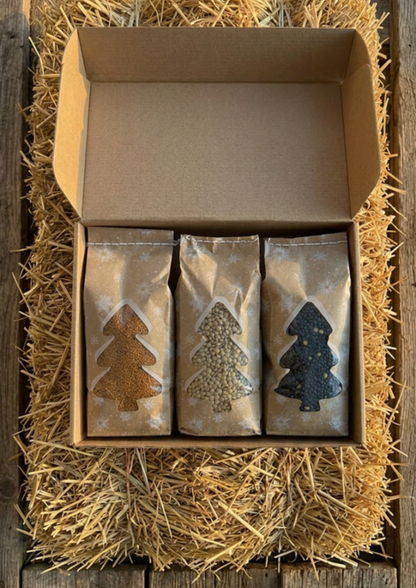 Coffret Découverte — Édition Sapin